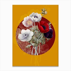 Vintage Botanical Anemone Simplex on Circle Red on Yellow n.0269 Canvas Print
