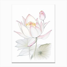 Lotus Floral Quentin Blake Inspired Illustration 4 Flower Canvas Print