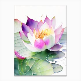 Lotus Flower Petals Watercolour 2 Canvas Print
