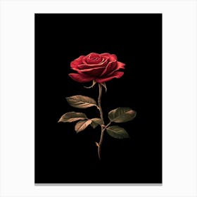 Rose In The Dark 15 Canvas Print