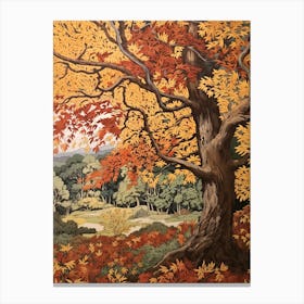 Hornbeam Vintage Autumn Tree Print  Canvas Print