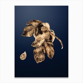 Gold Botanical Fig on Midnight Navy Canvas Print