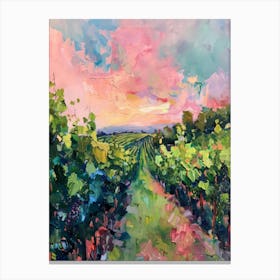 Sunset Vineyard Canvas Print