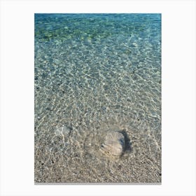 Rocks and clear sea water at the beach 1 Canvas Print