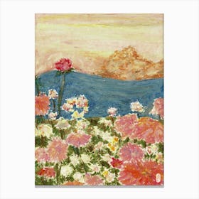 Sunset Daisy Field Canvas Print