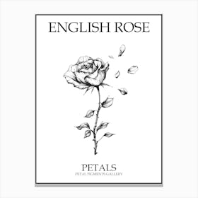 English Rose Petals Line Drawing 4 Poster Canvas Print