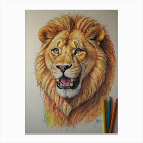 Lion Drawing 6 Canvas Print