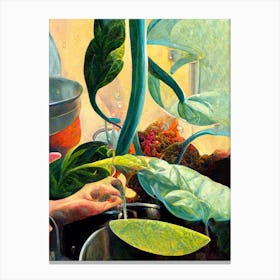 Watering Plants In The Kitchen Sink Canvas Print
