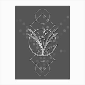 Vintage Boat Orchid Botanical with Line Motif and Dot Pattern in Ghost Gray n.0378 Canvas Print