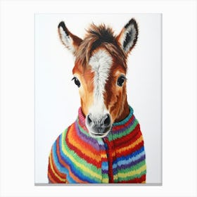 Baby Animal Wearing Sweater Horse 2 Canvas Print