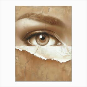 Eye Of A Woman 7 Canvas Print