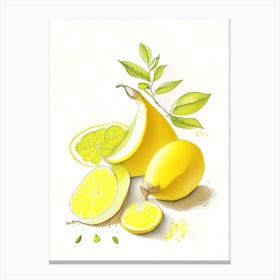 Lemon Peel Spices And Herbs Pencil Illustration 1 Canvas Print