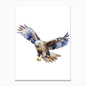 Eagle In Flight.3 Canvas Print