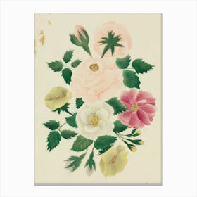 Chinese Roses Canvas Print