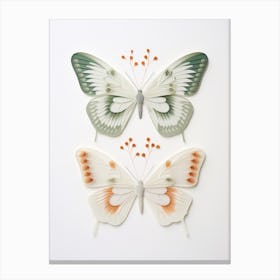 Butterflies Canvas Print