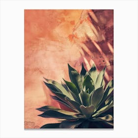 Agave 1 Canvas Print