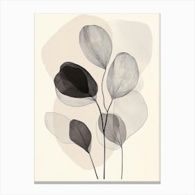 Black And White Flowers 5 Canvas Print