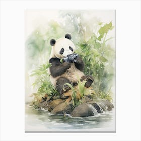 Panda Art Photographing Watercolour 4 Canvas Print