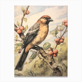Storybook Animal Watercolour Crow Canvas Print
