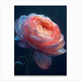 Peony Flower 4 Canvas Print