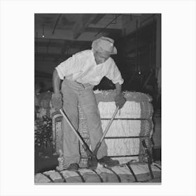 Snipping Metal Bands Off Bale Of Cotton Before Putting Into Compress, Houston, Texas By Russell Lee Canvas Print