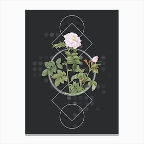 Vintage Pink Rosebush Botanical with Geometric Line Motif and Dot Pattern Canvas Print