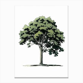 Beech Tree Pixel Illustration 2 Canvas Print