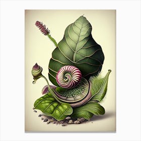 Assassin Snail  1 Botanical Canvas Print