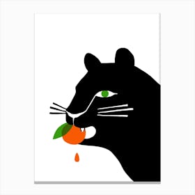 Big Cat Eating An Orange Canvas Print