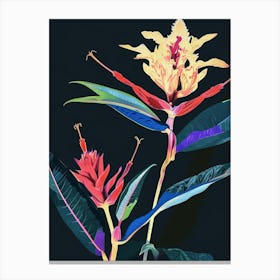 Neon Flowers On Black Celosia 2 Canvas Print