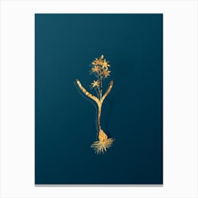 Vintage Alpine Squill Botanical in Gold on Teal Blue n.0023 Canvas Print