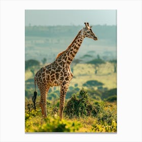 Giraffe In The Wild Canvas Print