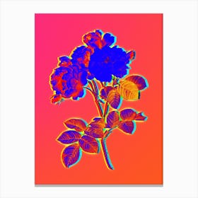 Neon Pink Damask Rose Botanical in Hot Pink and Electric Blue Canvas Print