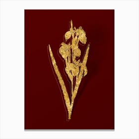 Vintage Irises Botanical in Gold on Red n.0082 Canvas Print