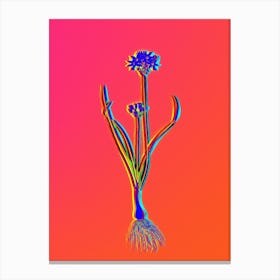 Neon Three Cornered Leek Botanical in Hot Pink and Electric Blue n.0579 Canvas Print