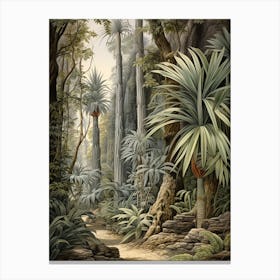 Vintage Jungle Botanical Illustration Pandanus 2 Canvas Print