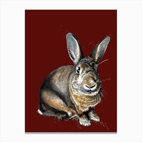 Meg The Bunny On Red Oxide Canvas Print