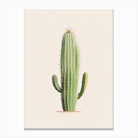 Ladyfinger Cactus Marker Art 2 Canvas Print
