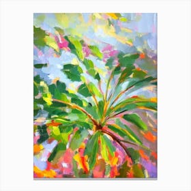 Umbrella Plant Impressionist Painting Plant Canvas Print