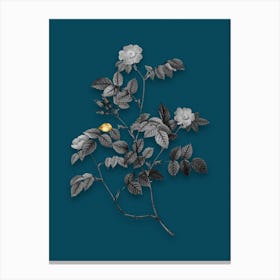 Vintage Sweetbriar Rose Black and White Gold Leaf Floral Art on Teal Blue n.0644 Canvas Print