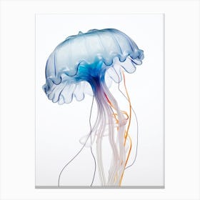 Portuguese Man Of War Jellyfish Watercolour 1 Canvas Print