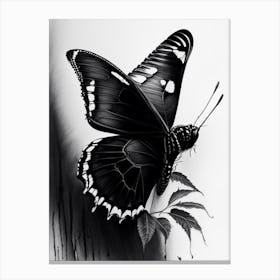 Black Swallowtail Butterfly Graffiti Illustration 2 Canvas Print