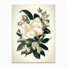 Gardenia 3 Floral Botanical Vintage Poster Flower Canvas Print