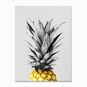 Golden pineapple Canvas Print