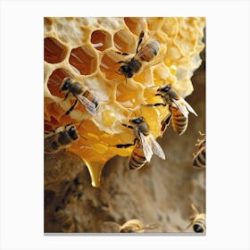 Africanized Honey Bee Realism Illustration 10 Canvas Print