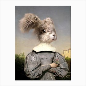 Sensitive Felene The Angora Rabbit Pet Portraits Canvas Print