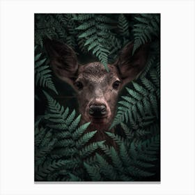 Deer In Ferns Canvas Print