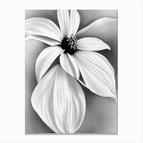 Morning Glory B&W Pencil 2 Flower Canvas Print