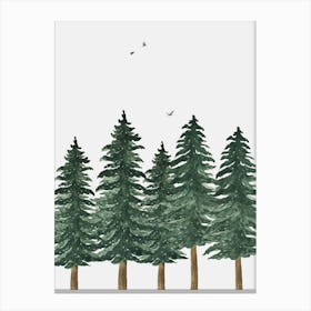 Fir Trees In The Forest Canvas Print