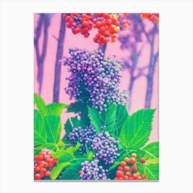 Elderberry 1 Risograph Retro Poster Fruit Canvas Print